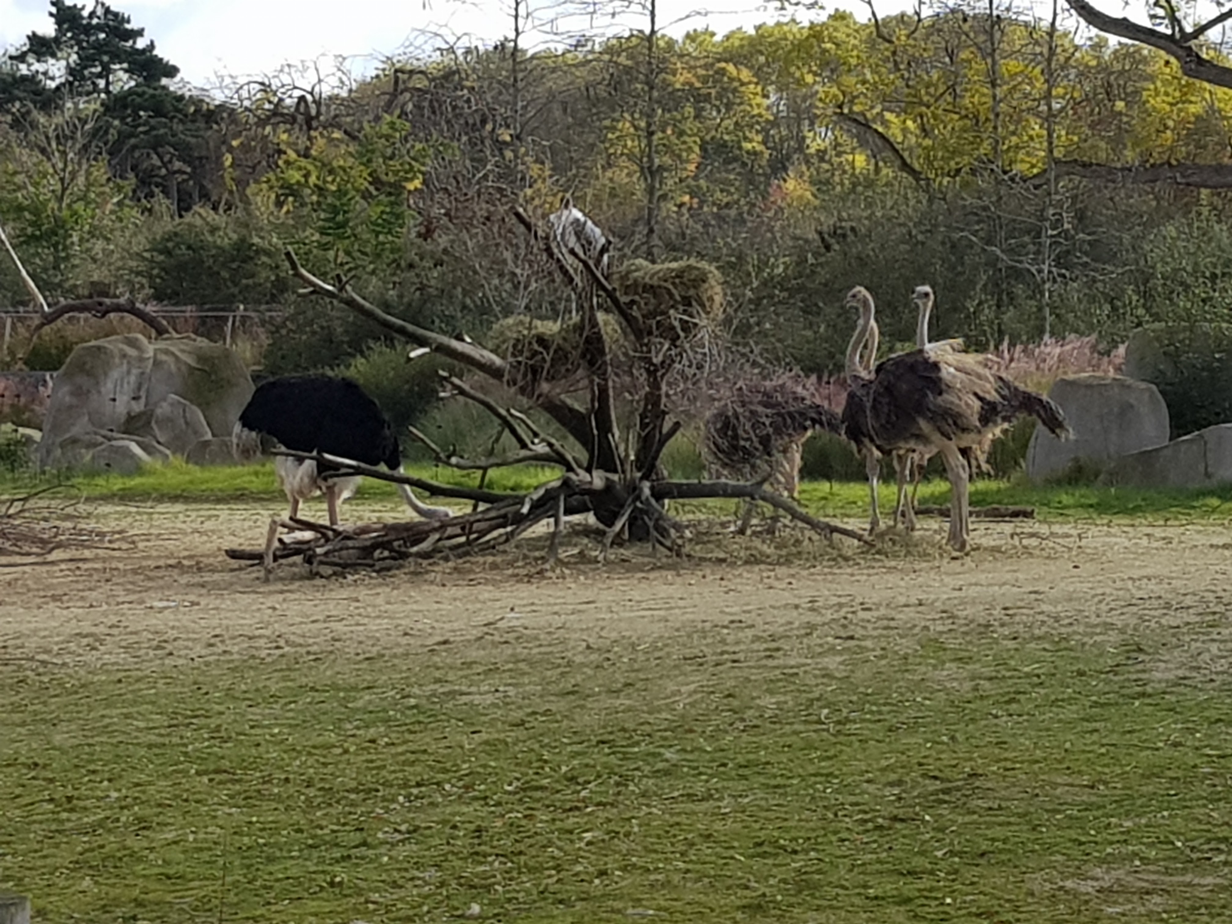 Photo n° 4 de l'avis de francis.a fait le 20/11/2017 à 07:17