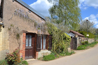 Passiflore Chambres d'hôtes à Commarin