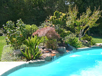 Landscape Design & Construction - Photo 6 - Car repair in Los Altos, CA, Santa Clara