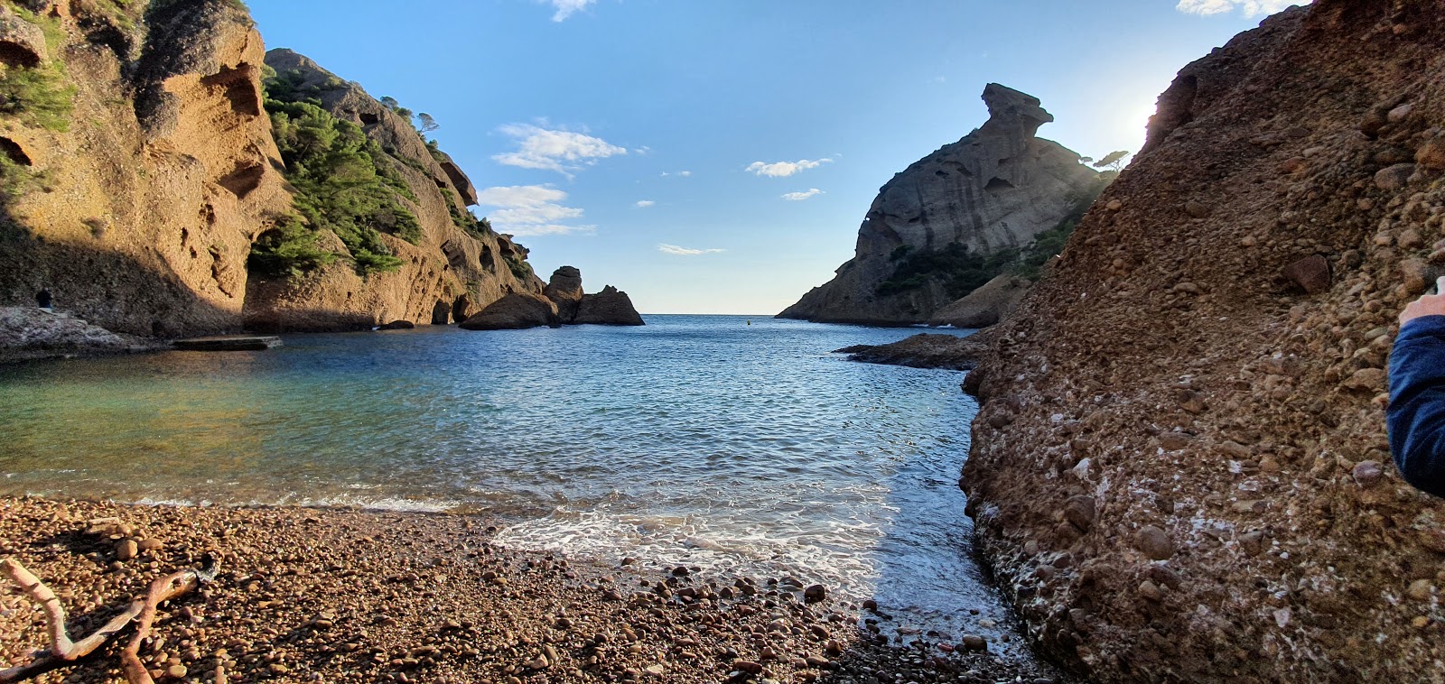 Calanque de Figuerolles'in fotoğrafı çok temiz temizlik seviyesi ile