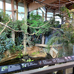 Photo n°21 de l'avis de Sven. fait le 11/05/2023 à 20:11 sur le  Aquarium Wilhelmshaven incl. Prehistoric Sea Museum à Wilhelmshaven