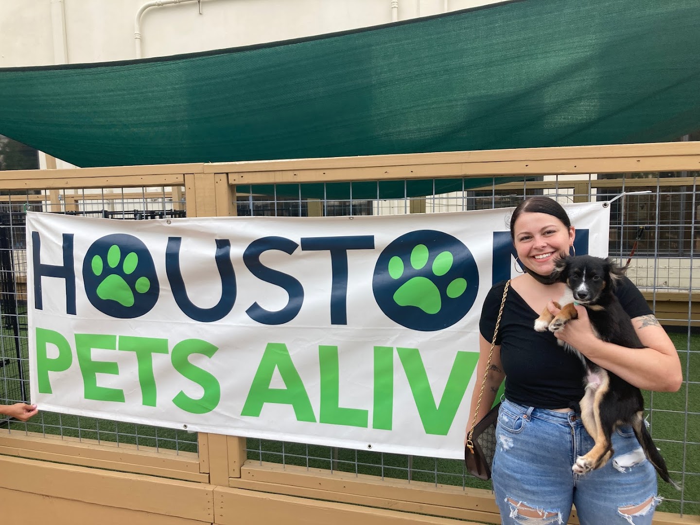 Houston Pets Alive!