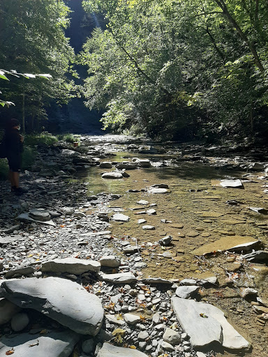 Tour Agency «Experience! The Finger Lakes», reviews and photos, 501 Warren Rd, Ithaca, NY 14850, USA