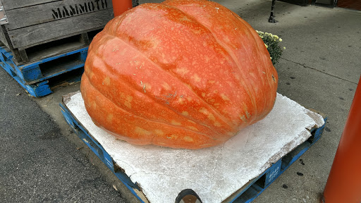 Produce Market «Morse Fresh Market», reviews and photos, 1430 W Morse Ave, Chicago, IL 60626, USA