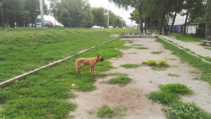 Dog Park Branimir