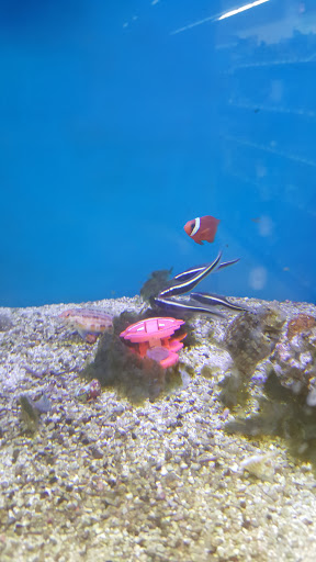 Pet Supply Store «Petco Animal Supplies», reviews and photos, 2420 Eastern Blvd, York, PA 17402, USA