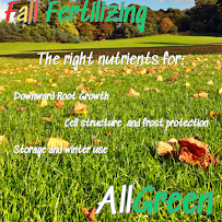 All Green Pest Control and Lawn Care - Photo 2 - Car repair in Provo, UT, Provo