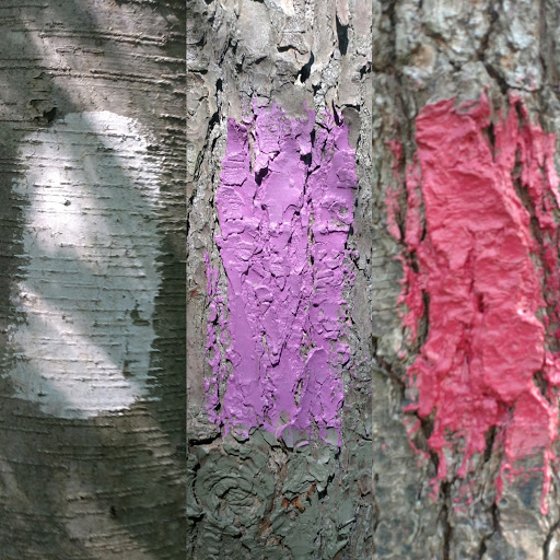 State Park «West Rock Ridge State Park», reviews and photos, 1134 Wintergreen Ave, New Haven, CT 06514, USA