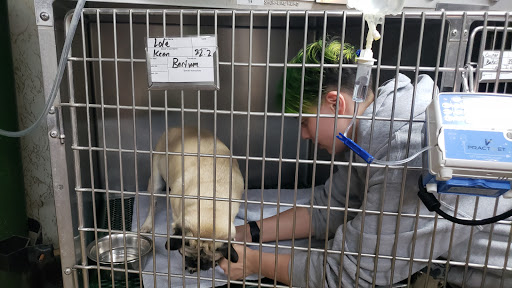 Terra Veterinary Services Inc image