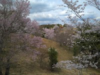 昭和の森 交流館