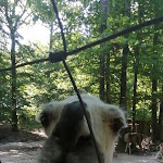 Photo n° 1 de l'avis de Jeanmichel.r fait le 28/08/2021 à 18:30 pour Parc animalier de Janvry à Janvry