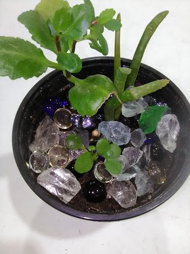 Grocery Store «El Centro Supermarket», reviews and photos, 8231 Park Ln, Dallas, TX 75231, USA