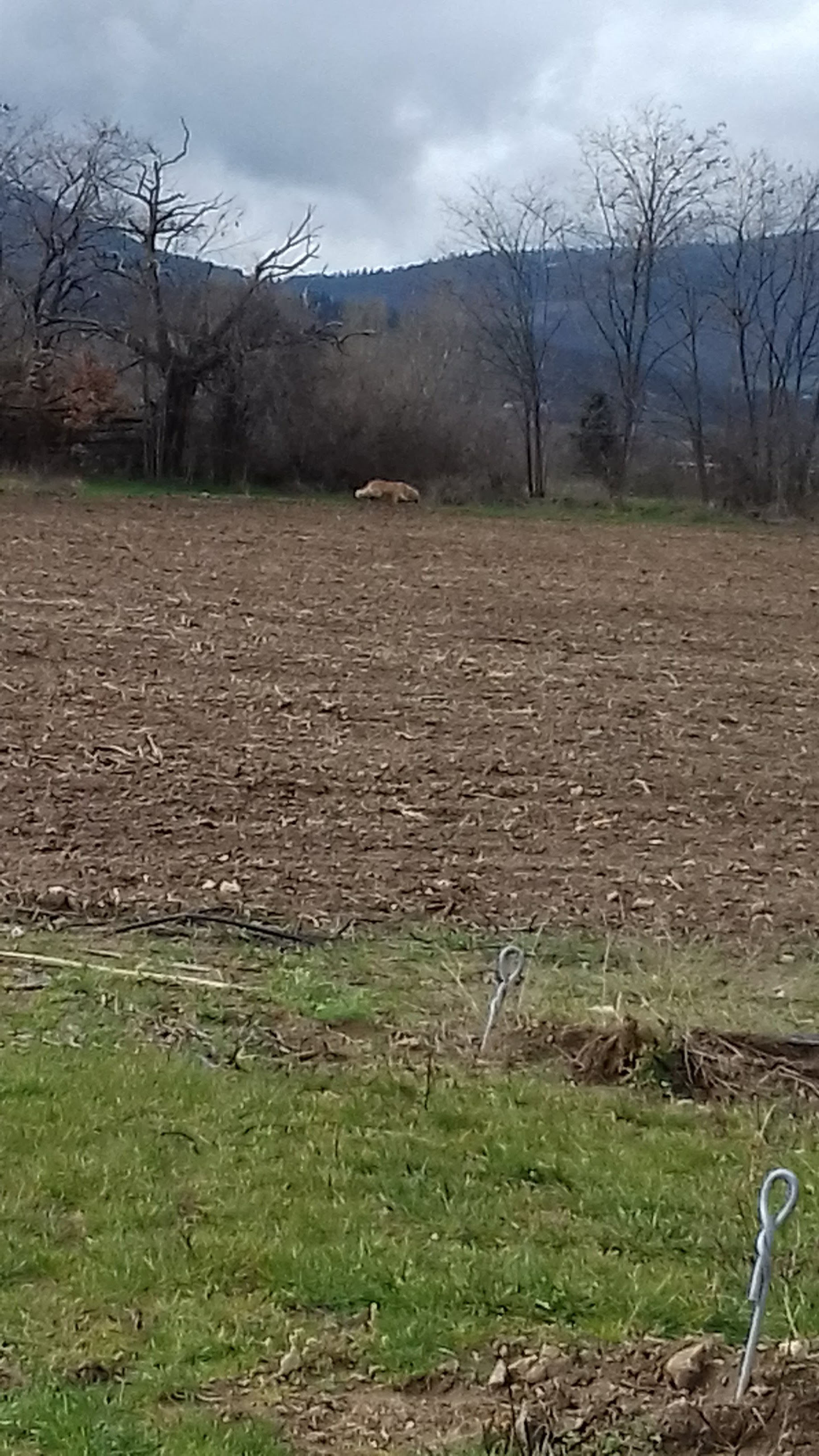 Photo n° 12 de l'avis de Mxtth.. fait le 25/03/2018 à 12:45