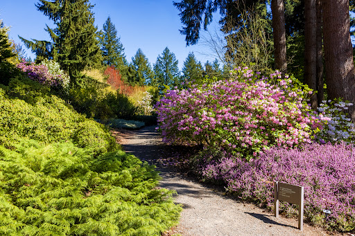 Botanical Garden «Rhododendron Species Botanical Garden», reviews and photos, 2525 S 336th St, Federal Way, WA 98003, USA