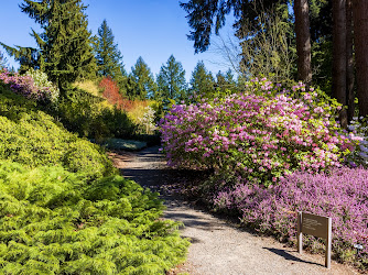Rhododendron Species Botanical Garden