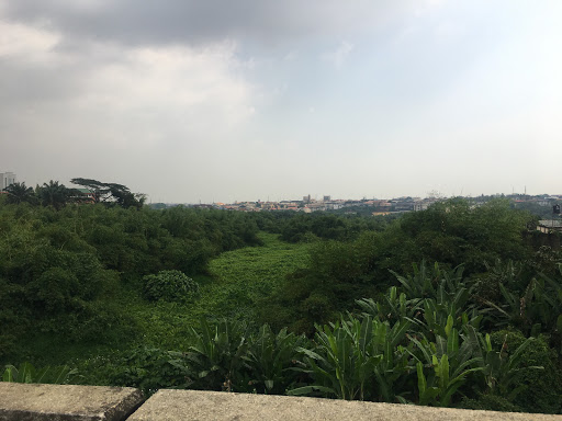 Opebi Valley, Opebi U Turn Rd, Ikeja, Lagos, Nigeria, Landscaper, state Lagos