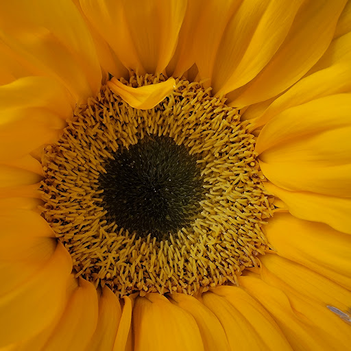 American Restaurant «Upper Eastside Farmers Market», reviews and photos, 6599 Biscayne Blvd, Miami, FL 33138, USA