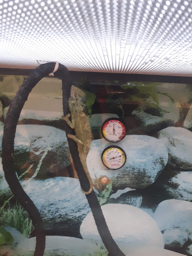 Pet Supply Store «Petco Animal Supplies», reviews and photos, 175 Grandview Blvd #600, Madison, MS 39110, USA