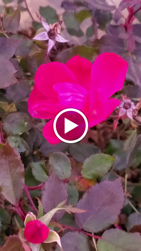 Park «Long Bridge Park», reviews and photos, 475 Long Bridge Drive, Arlington, VA 22202, USA