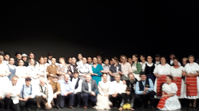 Nyitvatartás: Odeon színház - Debreceni Egyetem Argrártudományi Centrum