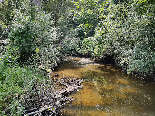 Nature Preserve «Farmington Hills Nature Center», reviews and photos, 24915 Farmington Rd, Farmington Hills, MI 48336, USA