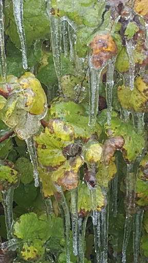 Coffee Shop «Prime Time Coffee», reviews and photos, 3805 River Rd, Eugene, OR 97404, USA