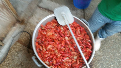 Seafood Market «Satsuma Seafood», reviews and photos, 29923 S Satsuma Rd, Livingston, LA 70754, USA