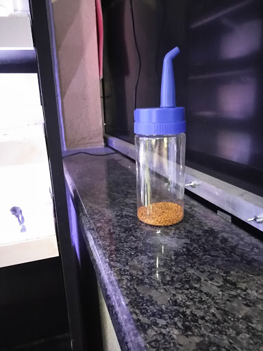 Pet Store «Fins and Skins», reviews and photos, 8451 49th St N, Pinellas Park, FL 33781, USA