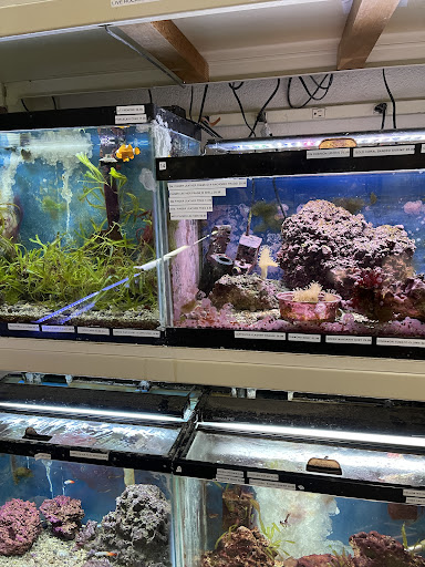 Pet Store «Alley Cat Pet Center», reviews and photos, 8700 NE Vancouver Mall Dr, Vancouver, WA 98662, USA