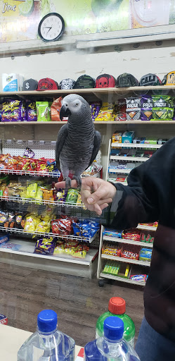 Liquor Store «Healdsburg Liquors», reviews and photos, 427 Center St, Healdsburg, CA 95448, USA