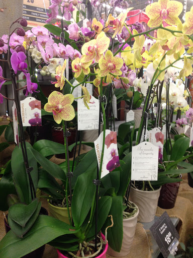 Grocery Store «Jewel-Osco», reviews and photos, 2051 Ridge Rd, Minooka, IL 60447, USA