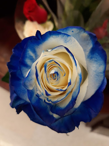 Shopping Mall «Bon Shopping Center», reviews and photos, 2300 N Wahsatch Ave, Colorado Springs, CO 80907, USA