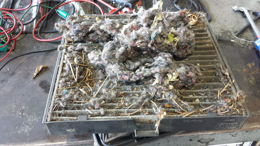 Tire Shop «Autocamp Tire & Auto Service», reviews and photos, 3609 Hartzdale Dr, Camp Hill, PA 17011, USA