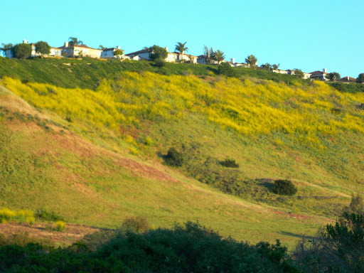 Park «Aliso and Wood Canyons Wilderness Park», reviews and photos, 28373 Alicia Pkwy, Aliso Viejo, CA 92656, USA