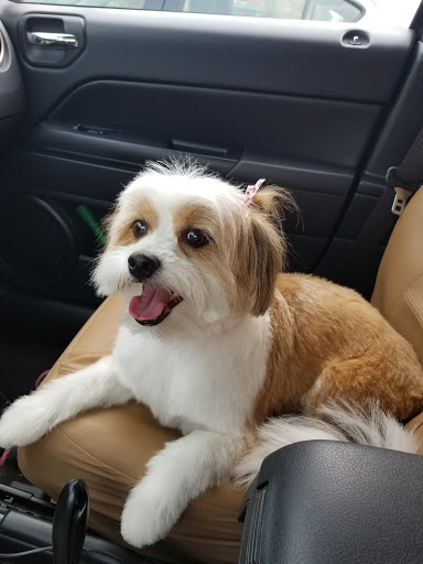 Pet Supply Store «PetSmart», reviews and photos, 976 IL-59, Aurora, IL 60504, USA