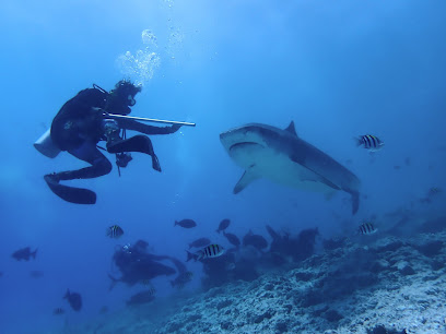 Lluis Masuet Expeditions