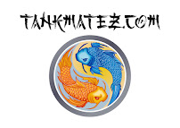 TankMatez Innovative Aquatic Products llc - Photo 4 - Car repair in Pueblo, CO, Pueblo