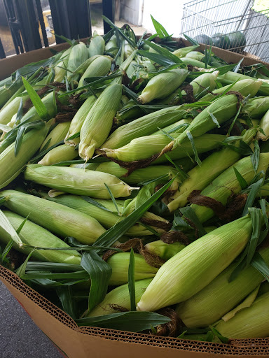 Produce Market «Christopher Farms», reviews and photos, 2266 Crymes Cove Rd, Waynesville, NC 28786, USA