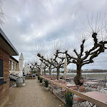 Photo n°6 de l'avis de E..u fait le 19/02/2024 à 19:10 sur le  Altes Ruderhaus à Worms