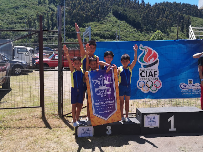 Opinii despre Gimnasia Artística Viña del Mar în Viña del Mar - Gimnasio