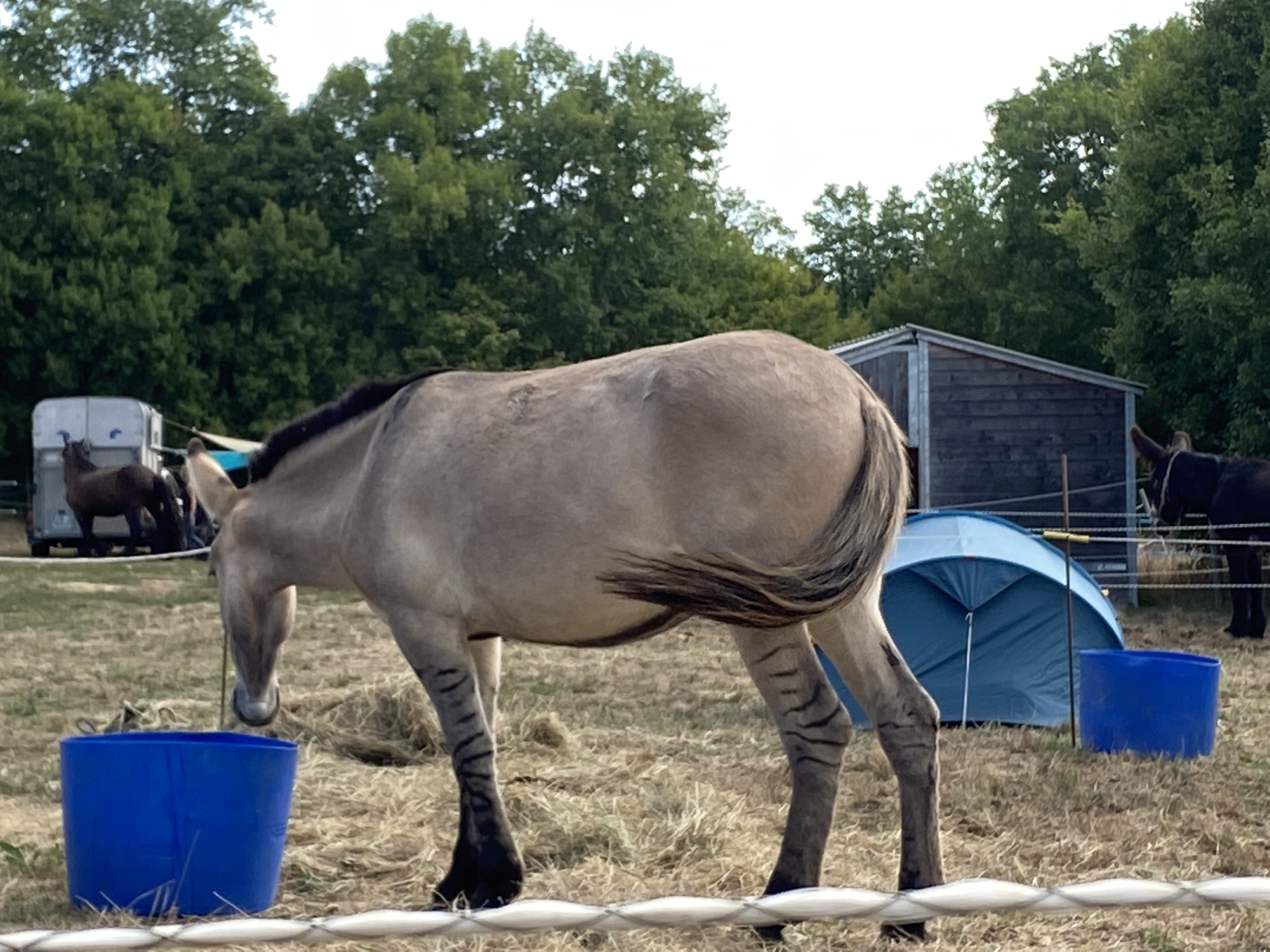 Photo n° 2 de l'avis de La72.o fait le 26/08/2022 à 10:36