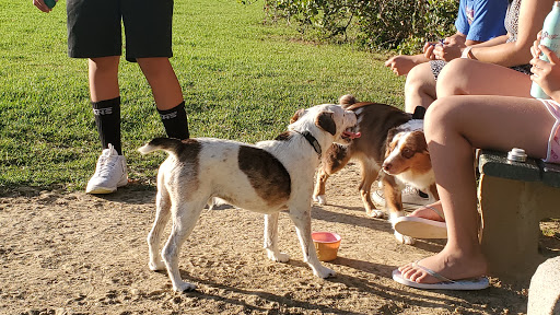 Dog Park «Laguna Beach Dog Park», reviews and photos, 20672 Laguna Canyon Rd, Laguna Beach, CA 92651, USA