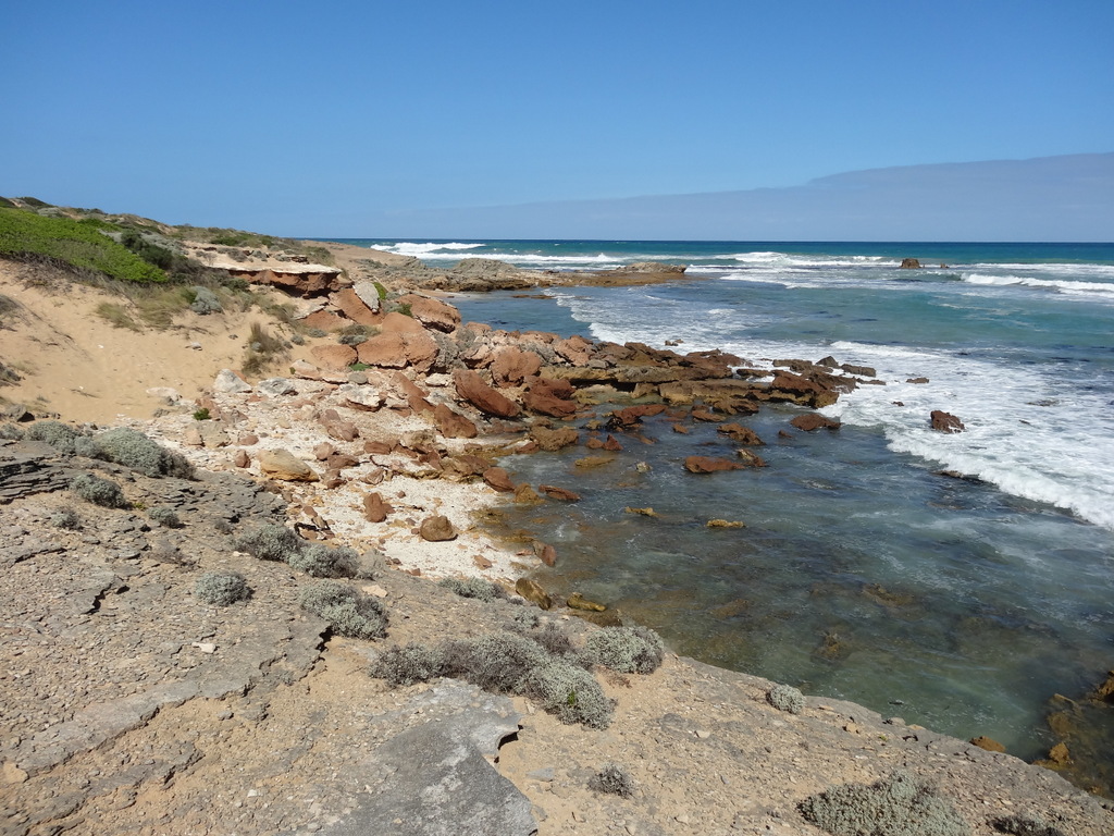 Foto van Shelly Beach, Warrnambool met rotsachtig terrein oppervlakte