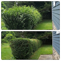 Blue Dyamond Lawn Care - Photo 4 - Car repair in , Baltimore