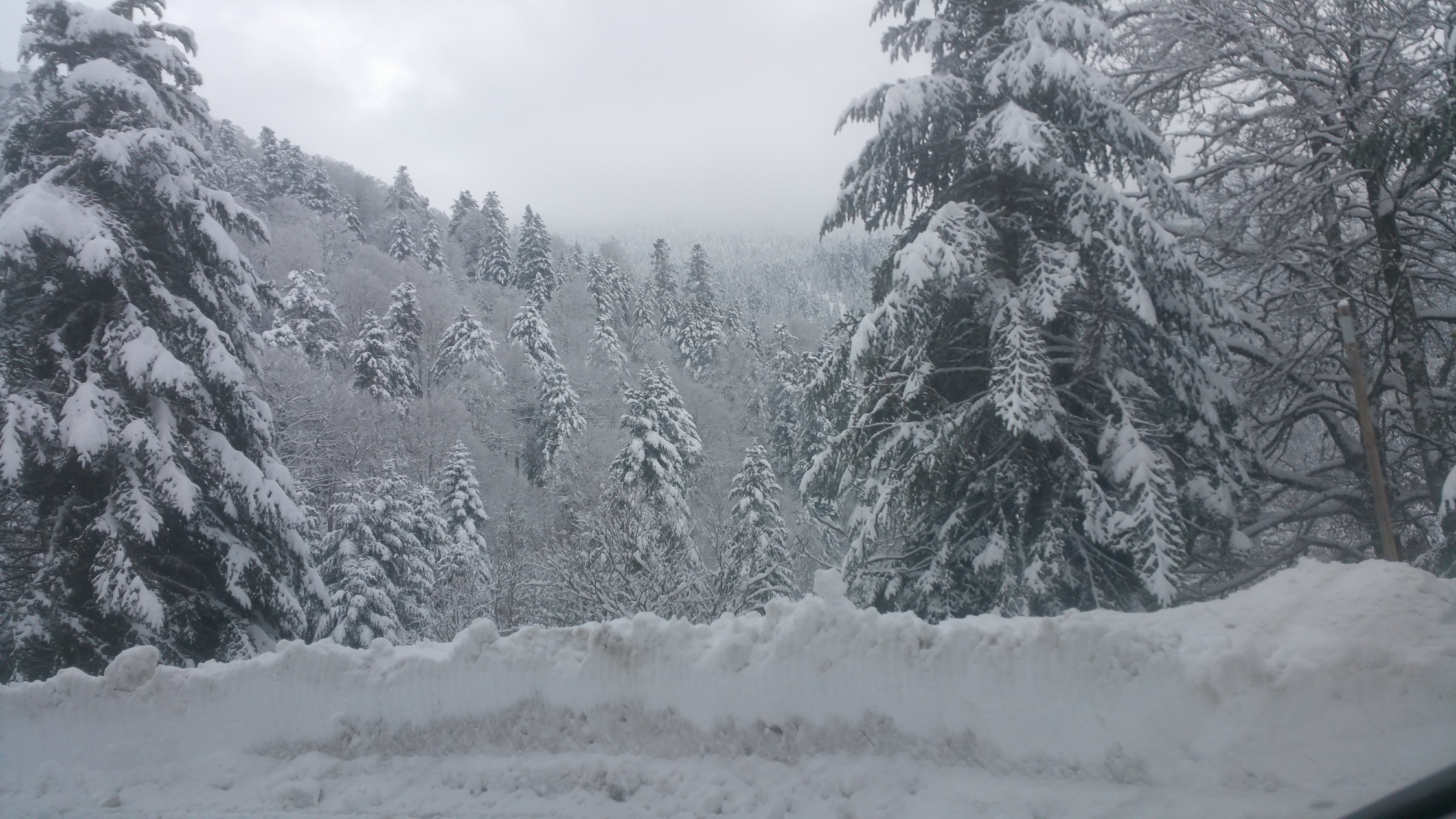 Photo n° 3 de l'avis de Jean-Louis.G fait le 23/02/2018 à 23:01