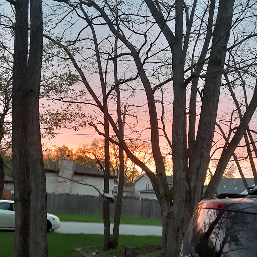 Grocery Store «Certified Grocery Basket», reviews and photos, 351 E 103rd St, Chicago, IL 60628, USA