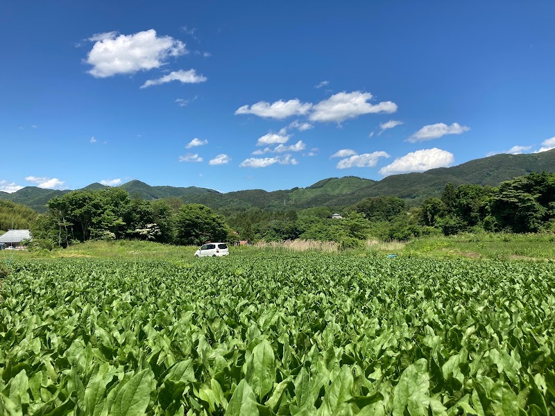 合同会社 菅原農園