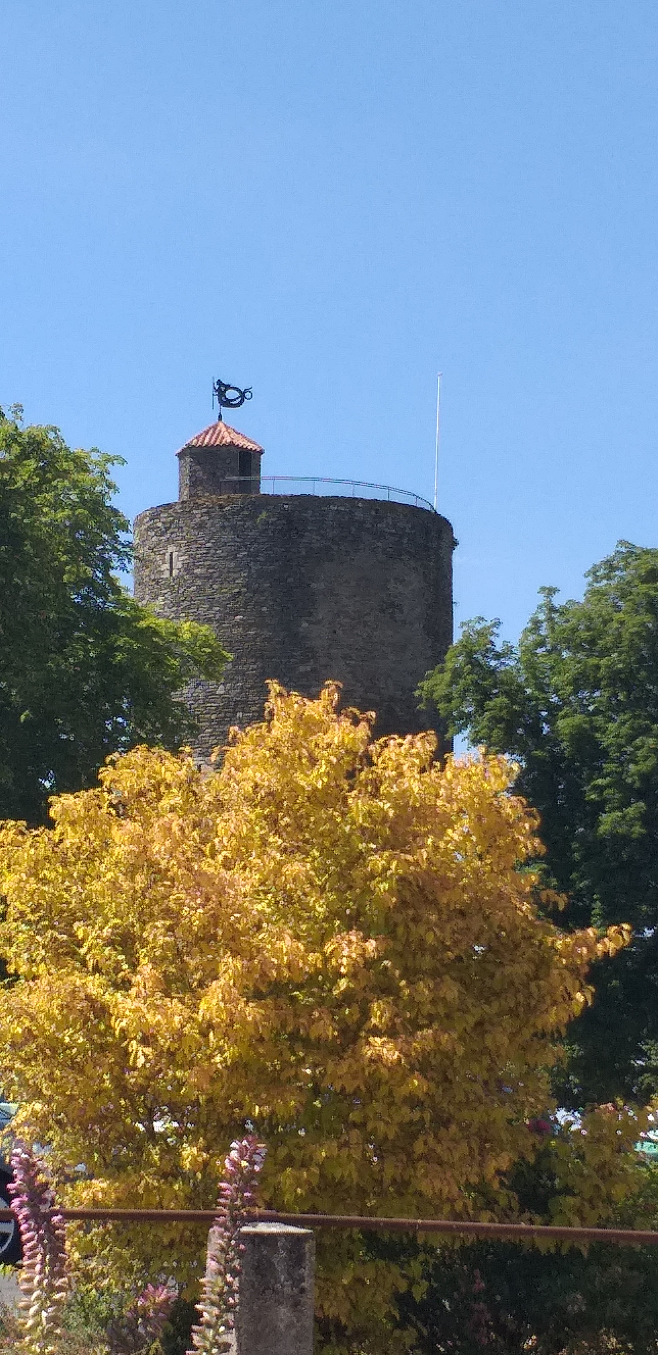 Photo n° 1 de l'avis de globe.r fait le 21/07/2019 à 17:39