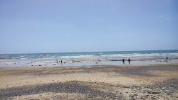 Photo de Fossil Bluff Beach et le règlement