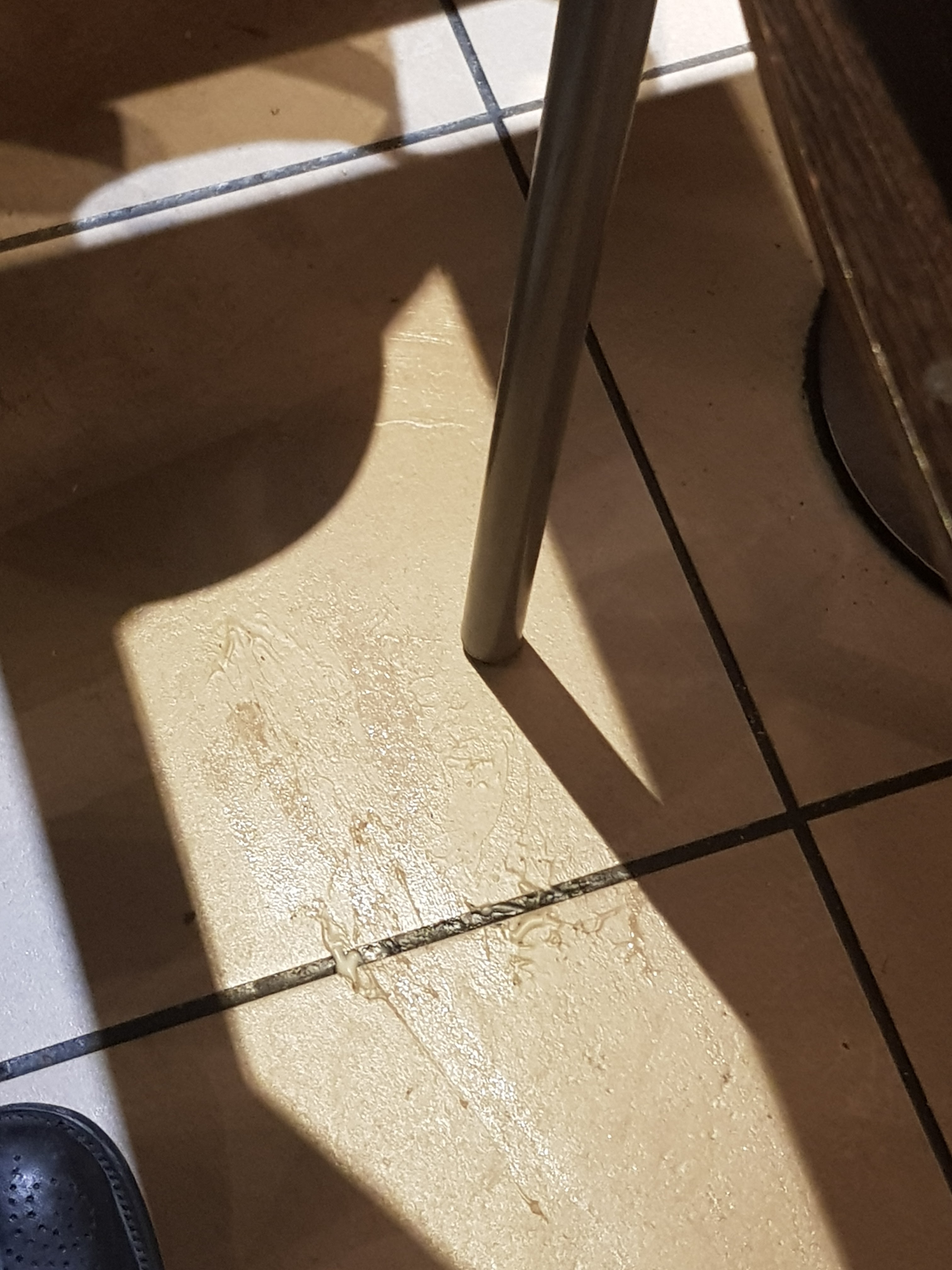 Photo n° 7 de l'avis de Loulou.7 fait le 17/01/2020 à 22:15